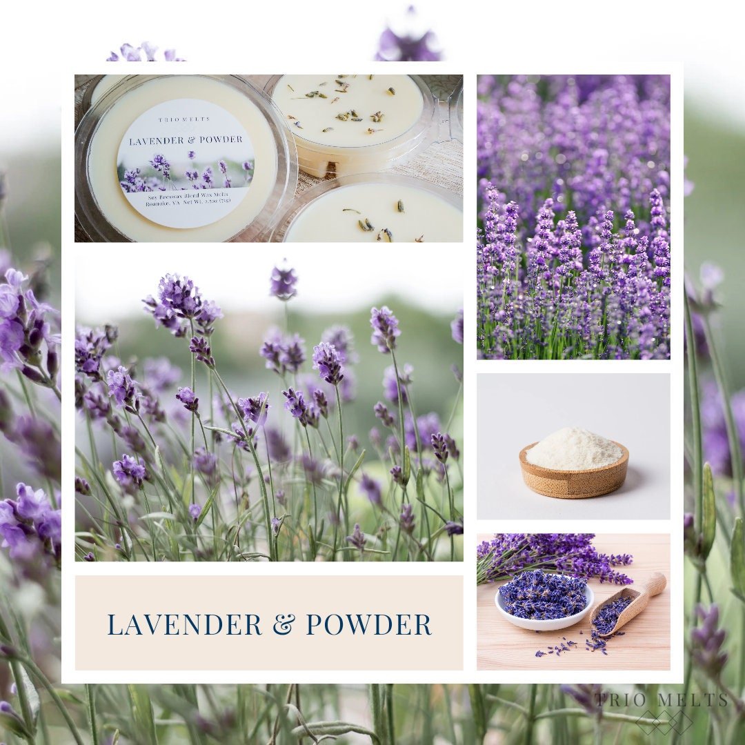 Lavender & Powder - Trio Melts