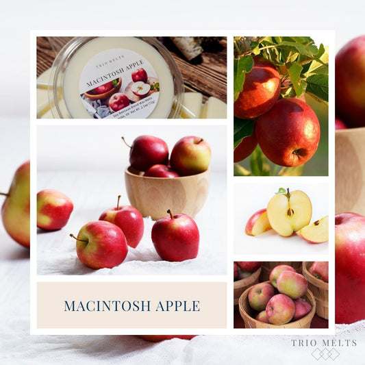 Macintosh Apple - Trio Melts